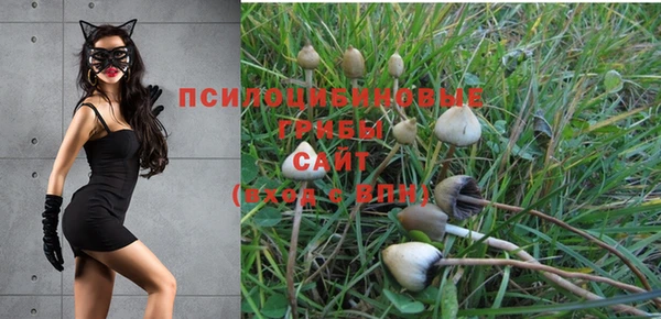 каннабис Арсеньев