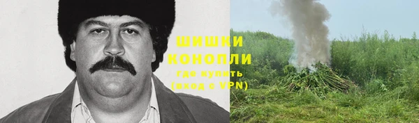 молекула духа Армянск