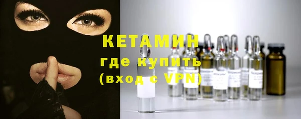 шишки Аркадак