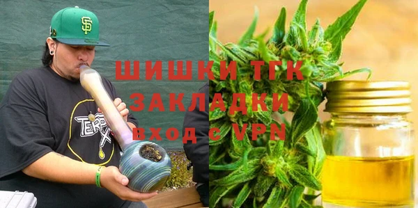 шишки Аркадак