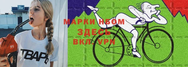 шишки Аркадак