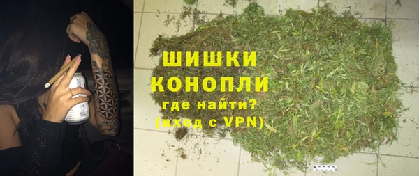 шишки Аркадак
