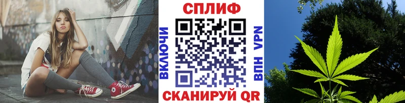 Бошки Шишки план Светогорск
